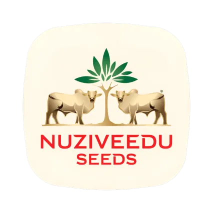company_logo